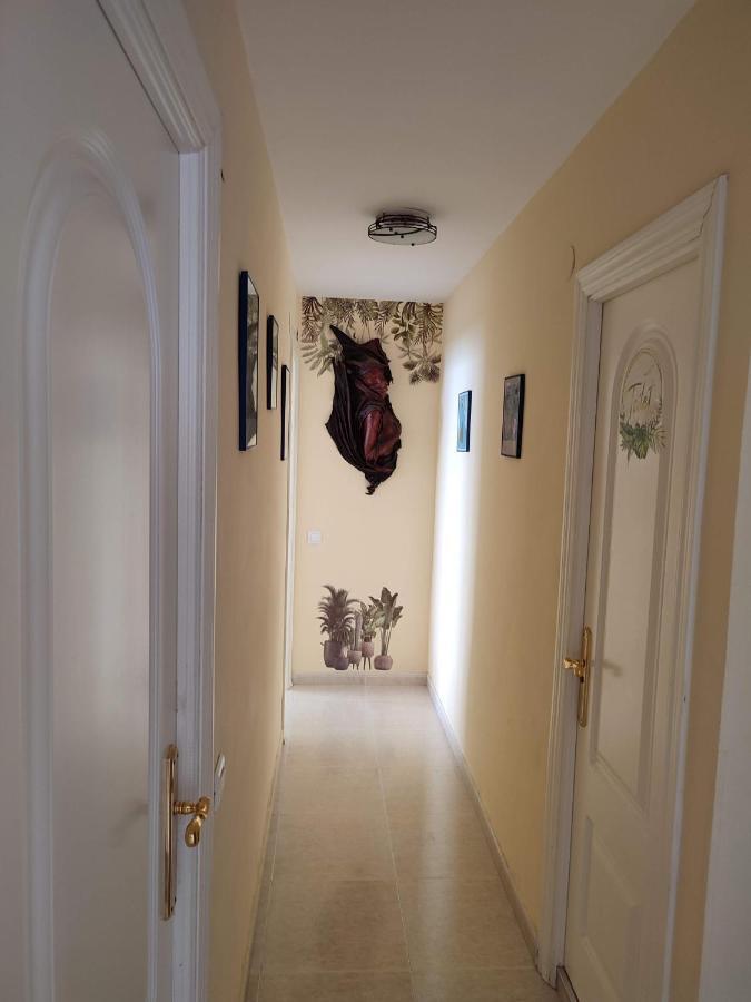 Apartamento En Playa Semi-Privada ベナルマデナ エクステリア 写真